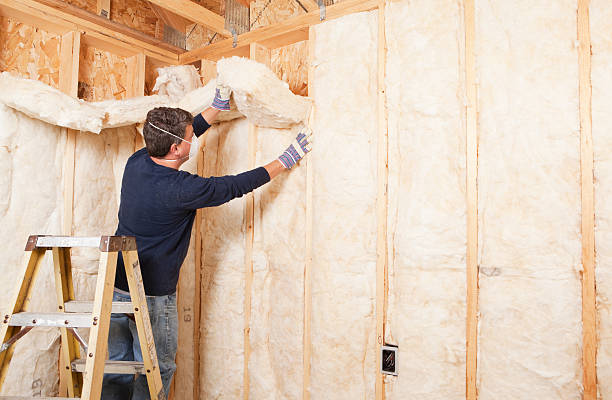 Best Basement Insulation  in Mason City, IA